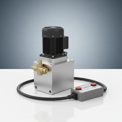 Check Valve CV2-08 Mini Hydraulische Power Packs met afstandsbediening 4 meter 2 knop Geschikt voor mobiele apparatuur en hydraulische machines
